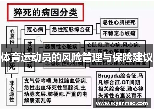 体育运动员的风险管理与保险建议